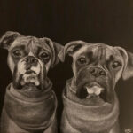 Dog charcoal drawing